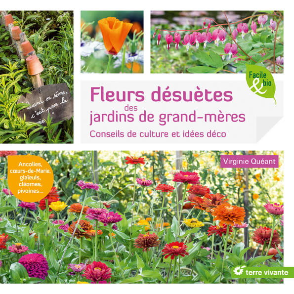 Lire la suite à propos de l’article Fleurs désuètes des jardins de grands-mères