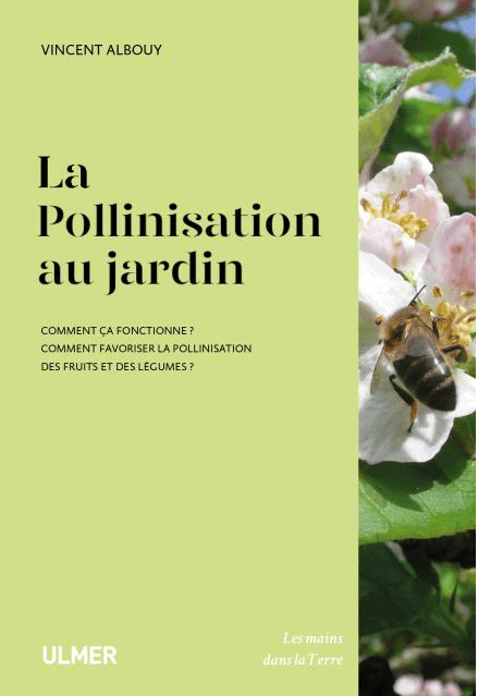Lire la suite à propos de l’article La pollinisation au jardin