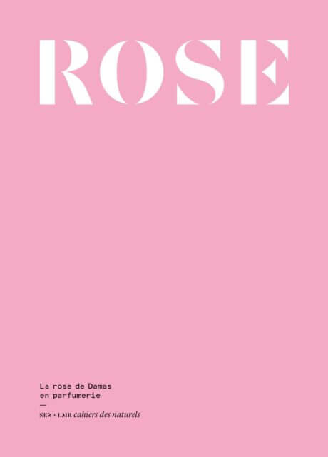 Lire la suite à propos de l’article La rose de Damas en parfumerie