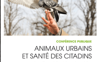 Conférence publique Animaux urbains et santé des citadins, ARB Île-de-France, Paris (75), mai 2019