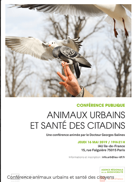 Lire la suite à propos de l’article “Animaux urbains et santé des citadins”, conférence le 16 mai 2019
