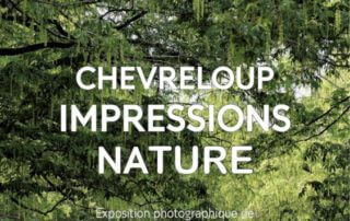 Affiche de l'exposition Impressions Nature, photos Snezana Gerbault, Arboretum de Versailles Chèvreloup (78)