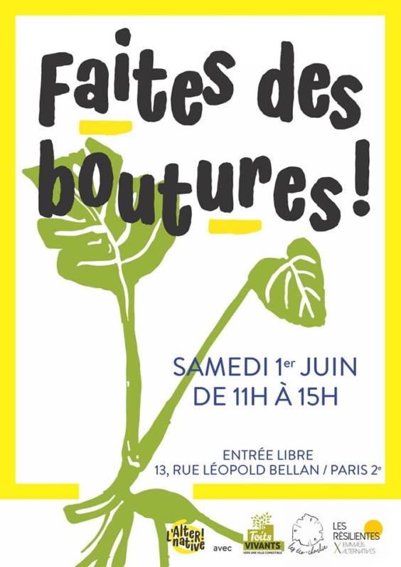 Lire la suite à propos de l’article Échange de boutures à L’Alternative le samedi 1er juin 2019