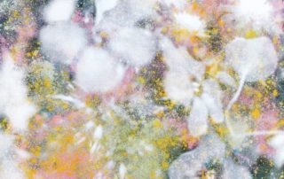 Flowers 2018_Sérigraphie à la colle et poudre colorée de super-aliments sur papier 60 x 40 cm_Roman Moriceau