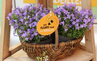 Panier de campanules, 3ème édition de la Semaine des fleurs pour les abeilles, du 14 au 23 juin 2019, Val'hor