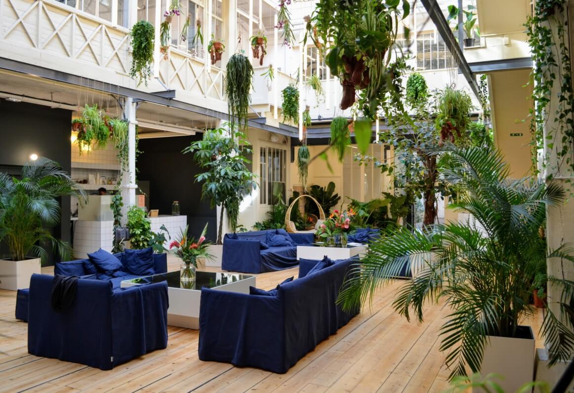Lire la suite à propos de l’article Vente de plantes Bloom’s à La Montgolfière Club (Paris 10e) du 21 au 25 juillet 2019