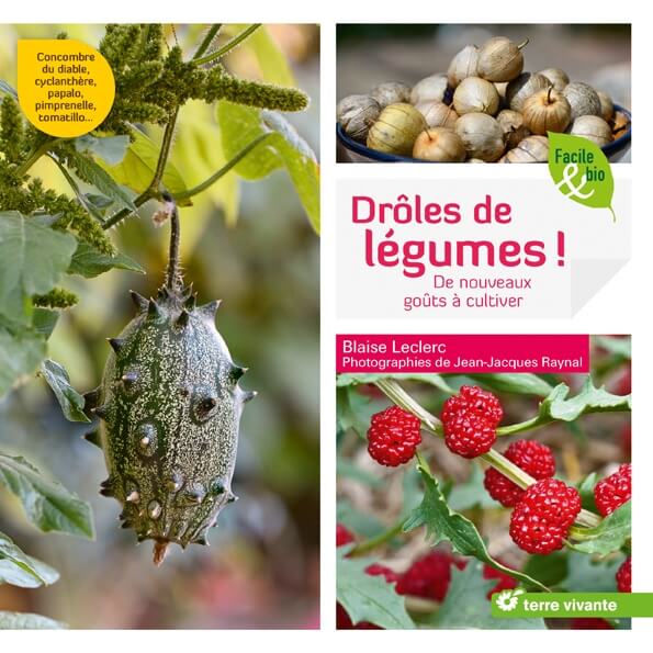 Lire la suite à propos de l’article Drôles de légumes