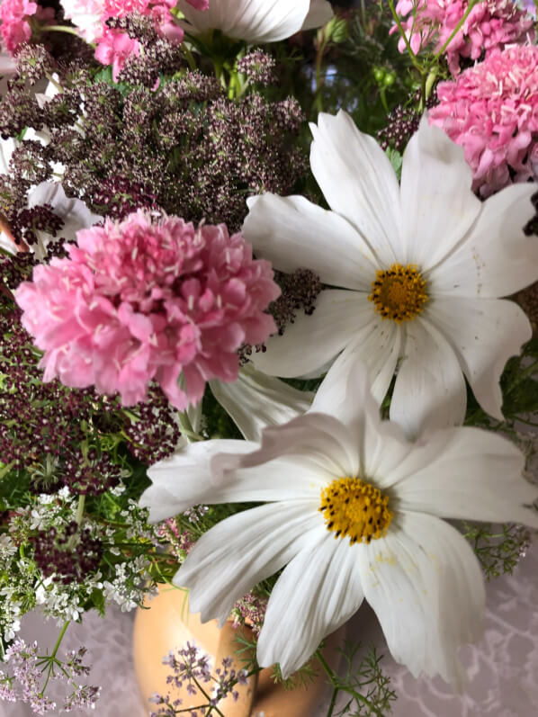 Bouquet de fleurs d'été, Cosmos, scabieuse, carotte 'Dara', coriandre, Paris 12e (75)