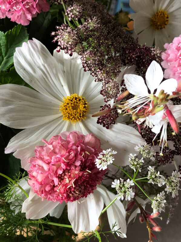Bouquet de fleurs d'été, Cosmos, scabieuse, Gaura, carotte 'Dara', coriandre, Paris 12e (75)