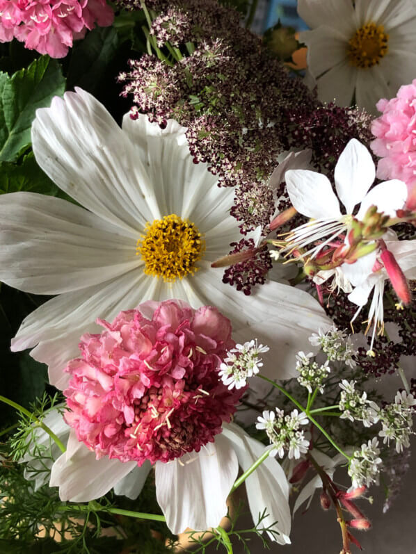 Lire la suite à propos de l’article Bouquet estival de cosmos, scabieuse, carotte, gaura et coriandre