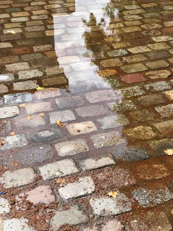 Lire la suite à propos de l’article Pluie et fraicheur bienvenues après la canicule