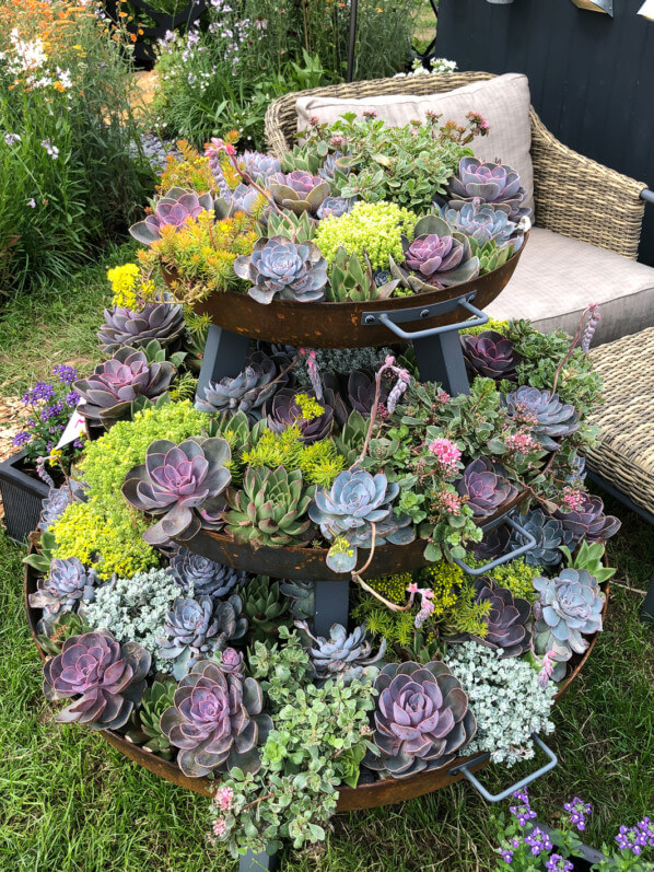 Lire la suite à propos de l’article Une idée de mini jardin de cactées et autres plantes succulentes