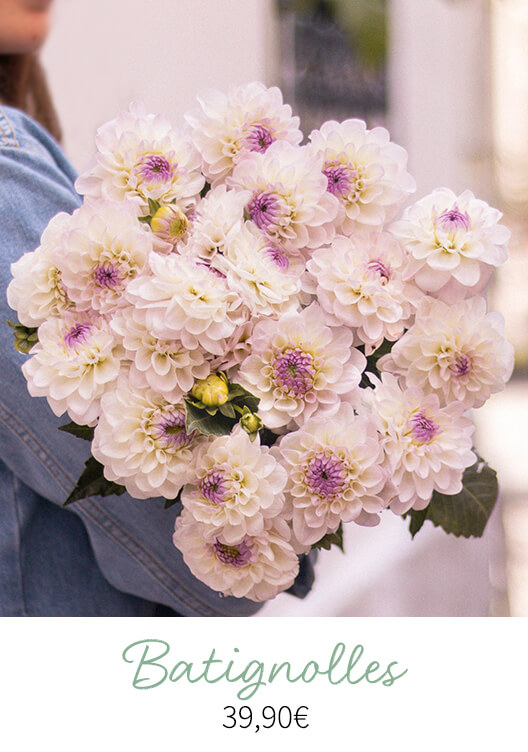 Bouquet de dahlias Batignolles, Bergamotte