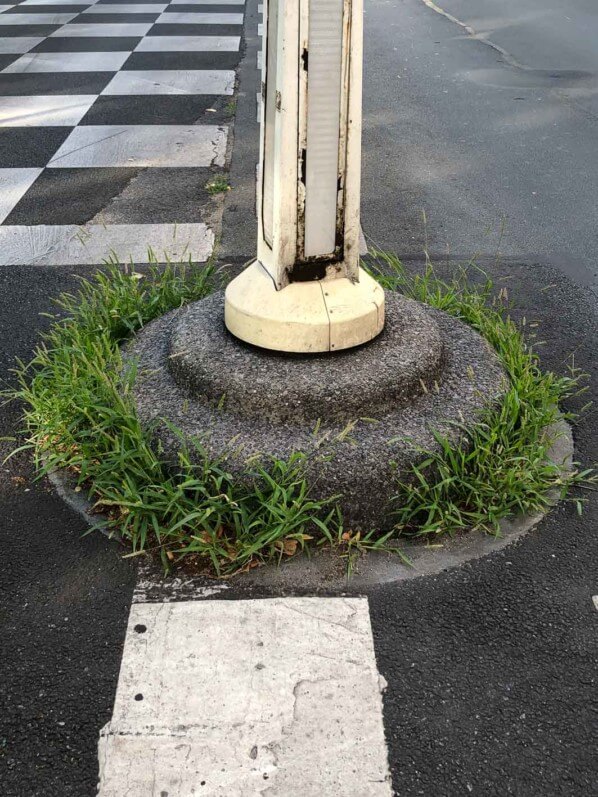 Lire la suite à propos de l’article Végétalisation de Paris : 2 idées en laissant faire la nature