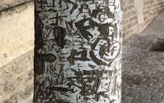 Inscriptions sur l'écorce et le tronc d'un arbre en bord de Seine, Paris (75)