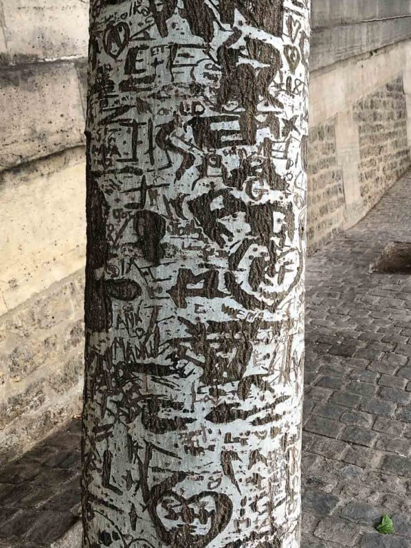 Inscriptions sur l'écorce et le tronc d'un arbre en bord de Seine, Paris (75)