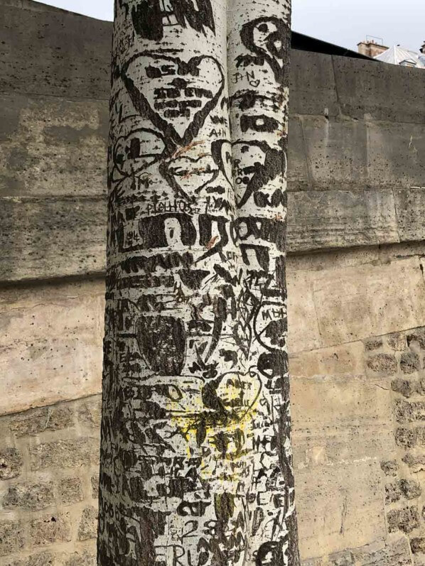 Inscriptions sur l'écorce et le tronc d'un arbre en bord de Seine, Paris (75)