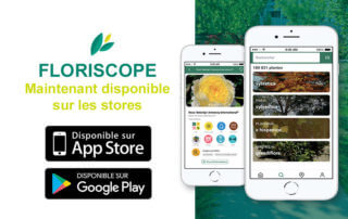 Application mobile Floriscope