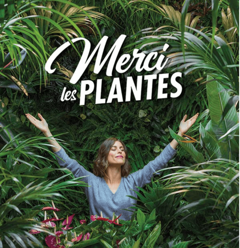 Lire la suite à propos de l’article L’Appartement #MerciLesPlantes ouvre ses portes du 20 au 22 septembre 2019 Chez Simone