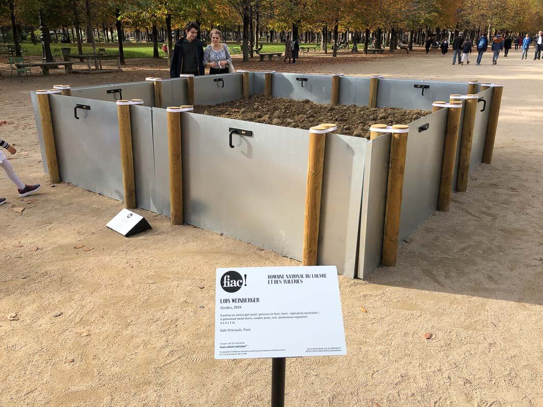 Garden, 2018, 8 portes en métal galvanisé, poteaux en bois, terre, végétation spontanée, 4 x 4 x 1 m,  Salle Principale, Loïs Weinberger, FIAC hors les murs, Paris 1er (75)