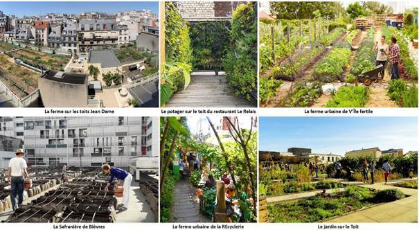 Jardins ouverts en Île-de-France, octobre 2019