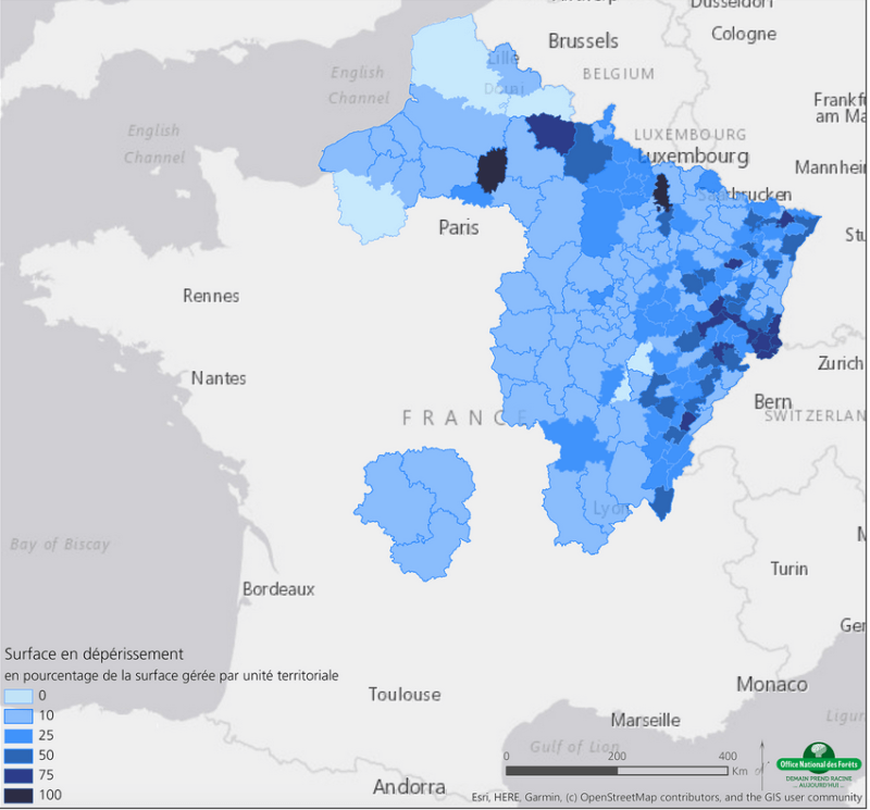 Carte des surfaces forestières touchées par la sécheresse de l'été 2019, ONF