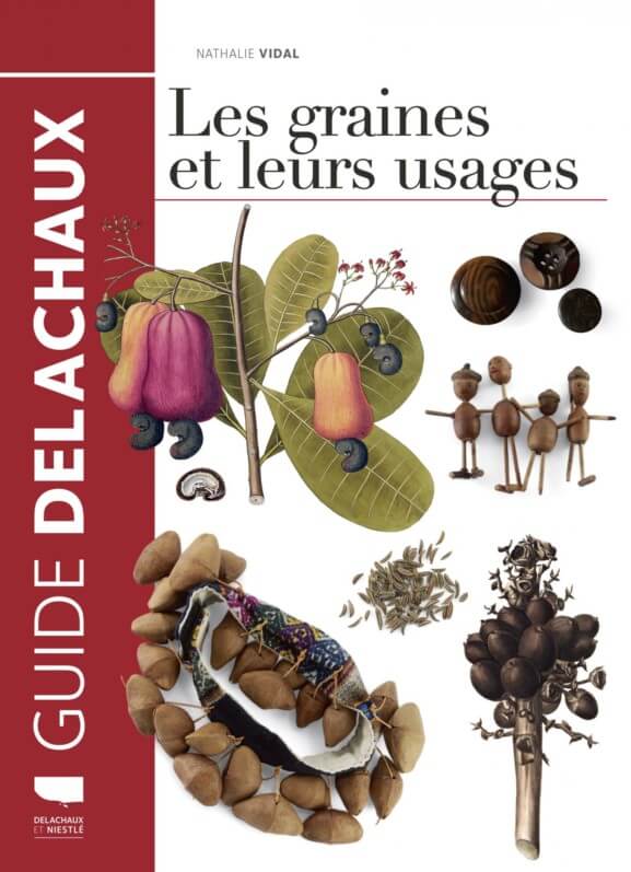 Lire la suite à propos de l’article Les Graines et leurs usages