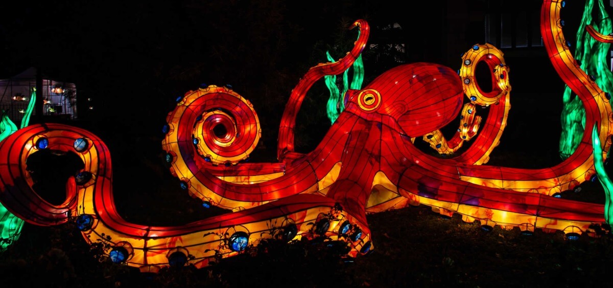 Lire la suite à propos de l’article Sculptures illuminées géantes au Jardin des Plantes du 18 novembre 2019 au 19 janvier 2020
