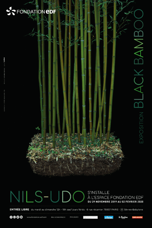 Affiche Black Bamboo, Nils Duo, Fondation Groupe EDF, Paris 7e (75)