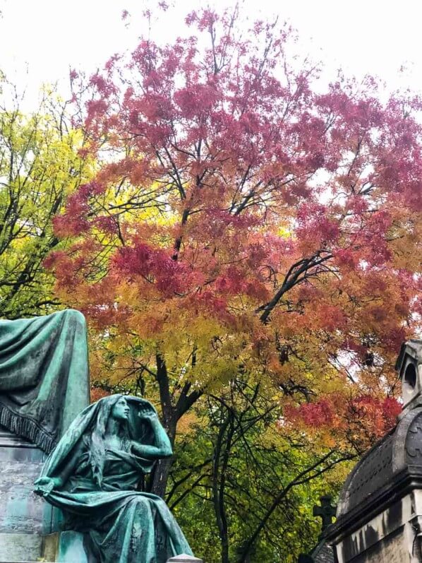 Couleurs d'automne, cimetière du Père Lachaise, Paris 20ème (75)