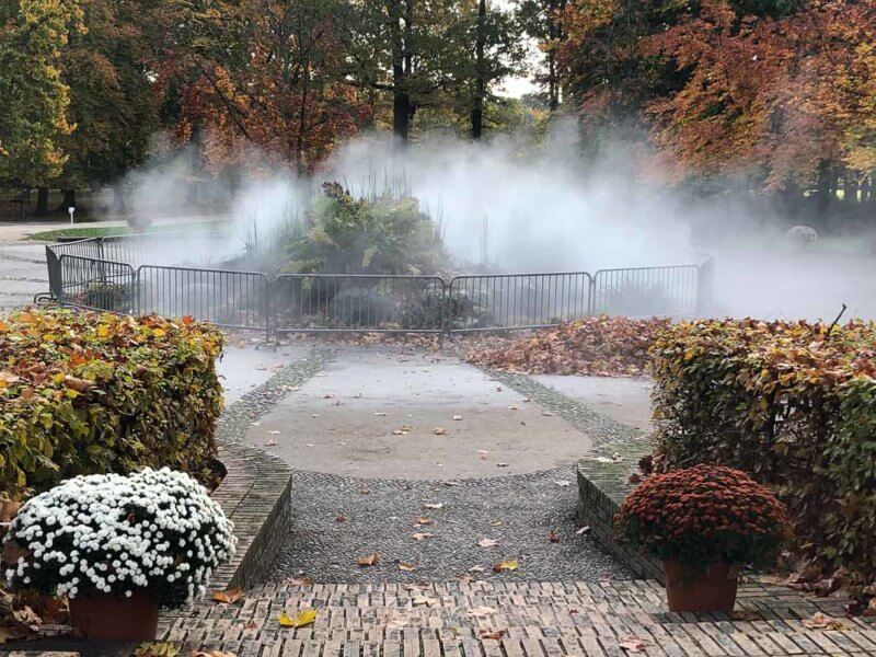 Brume, chemin de l'évolution en automne dans le parc floral, Paris 12e (75)