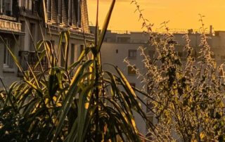 Soleil matinal en automne sur mon balcon parisien, Paris 19e (75)