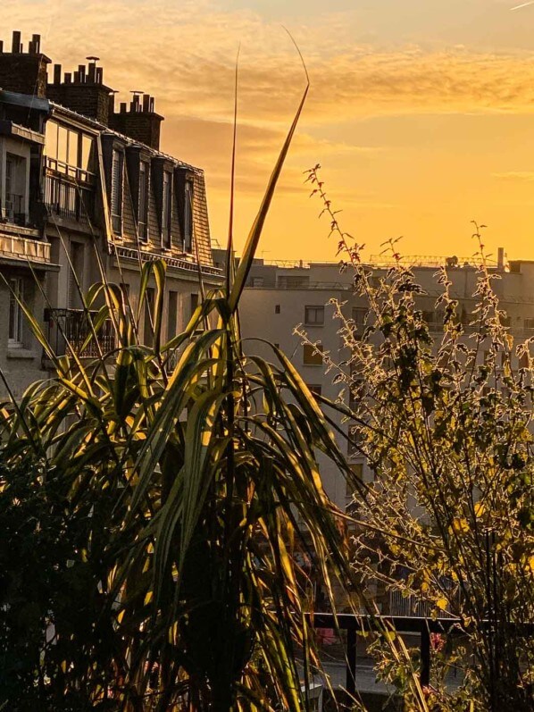 Soleil matinal en automne sur mon balcon parisien, Paris 19e (75)