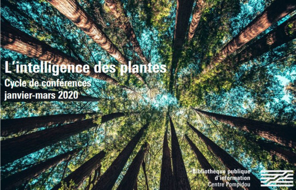L'intelligence des plantes, cycle de conférences organisé par la Bpi, Paris (75), janvier-mars 2020