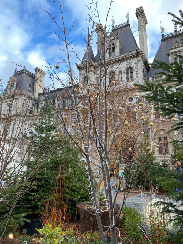 "Paris, enchantée", décorations de Noël sur l'esplanade de l'Hôtel de Ville, Paris 4e (75)