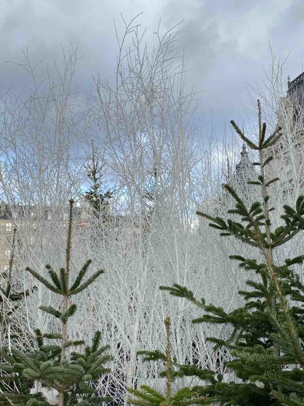 "Paris, enchantée", décorations de Noël sur l'esplanade de l'Hôtel de Ville, Paris 4e (75)