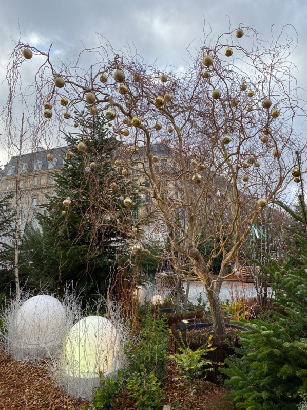 "Paris, enchantée", décorations de Noël sur l'esplanade de l'Hôtel de Ville, Paris 4e (75)