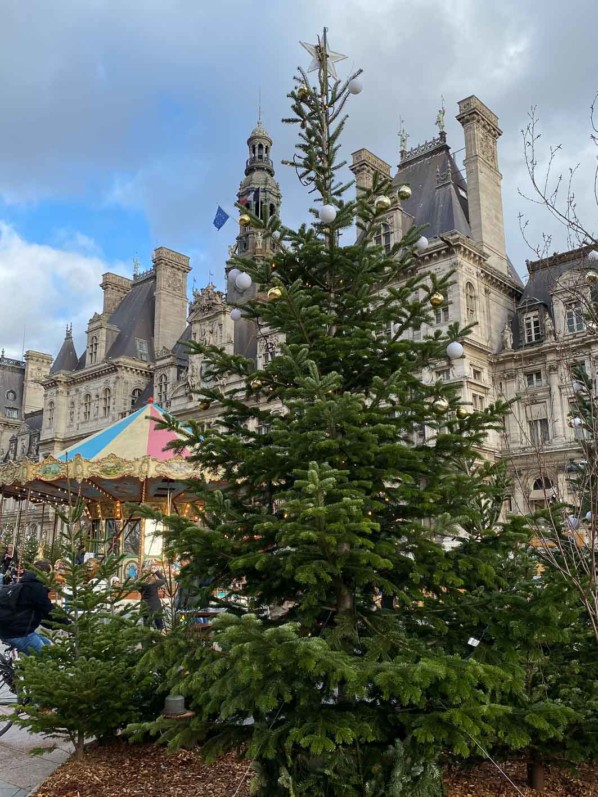 "Paris, enchantée", décorations de Noël sur l'esplanade de l'Hôtel de Ville, Paris 4e (75)