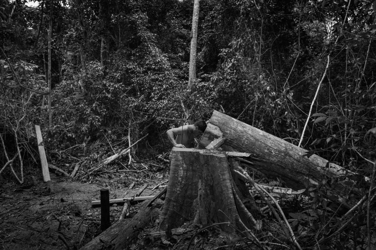 Lire la suite à propos de l’article Prix Carmignac du photojournalisme, 10ème édition sur l’Amazonie