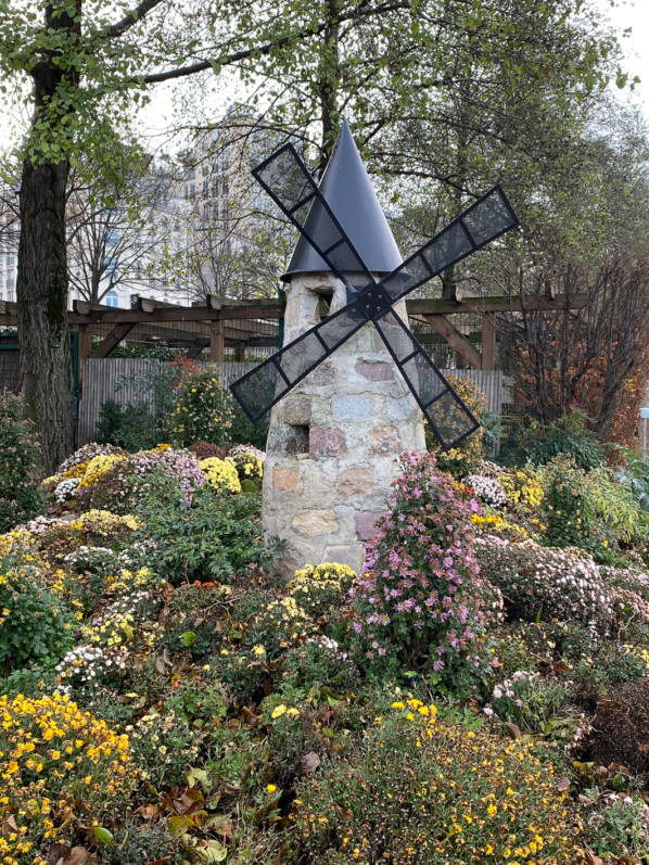 Moulin, parterre de chrysanthèmes en fin d'automne dans le Jardin du Port de l'Arsenal, Paris 12e (75)