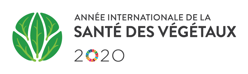 2020, Année internationale de la santé des végétaux (IYPH)