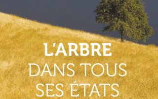 L’arbre dans tous ses états, Georges Feterman, Éditions Delachaux & Niestlé, octobre 2019