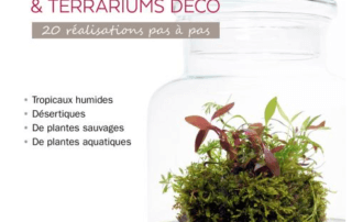 Mini-jardins de verre & terrariums déco, 20 réalisations pas à pas, Gabriel Primetens, Éditions Ulmer, janvier 2020