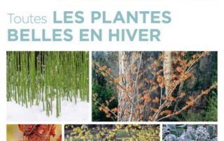 Toutes les plantes belles en hiver, James Garnett et Didier Willery, Éditions Ulmer, octobre 2019