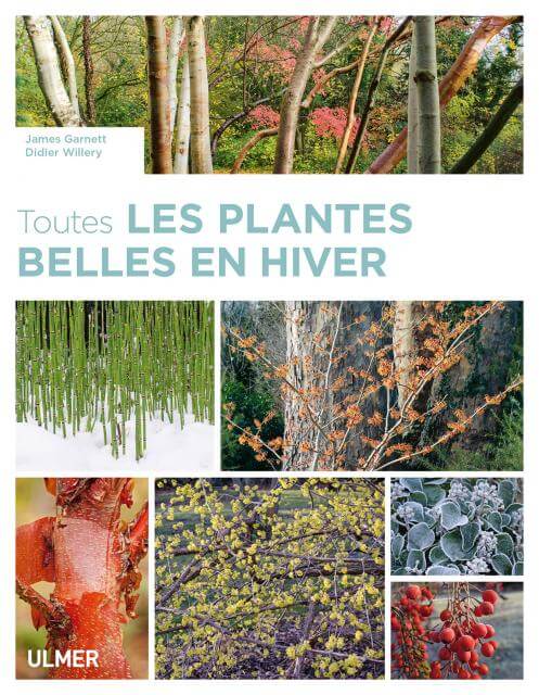 Toutes les plantes belles en hiver, James Garnett et Didier Willery, Éditions Ulmer, octobre 2019