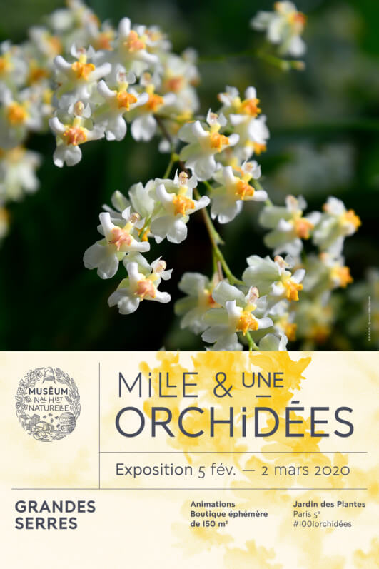 8e édition de Mille & Une Orchidées, Grandes Serres, Jardin des plantes, MNHN, Paris 5e (75), février et mars 2020