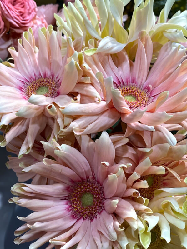 Bouquet de gerbéras, FranceAgriMer, SIA 2020, Salon International de l'Agriculture, Paris 15e (75)