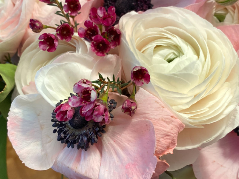 Bouquet de renoncules et d'anémones, composition Fleur de Nuit, Paris 12e (75)