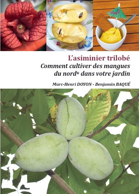 L'asiminier trilobé, ou comment cultiver des mangues du nord dans votre jardin, Marc-Henri Doyon, Benjamin Baqué, SCOP Végétal 85, février 2020