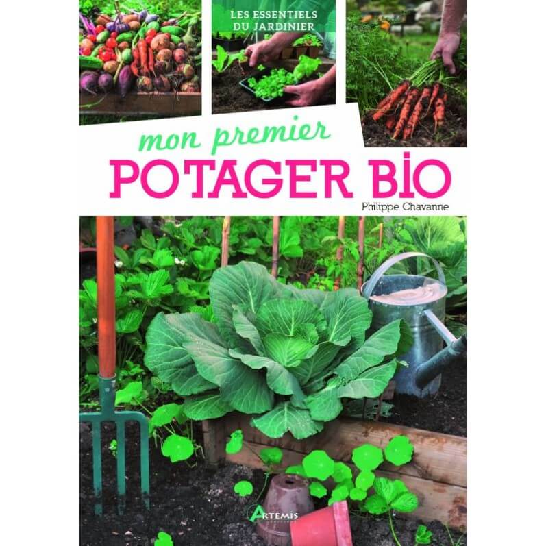 Lire la suite à propos de l’article Mon premier potager bio